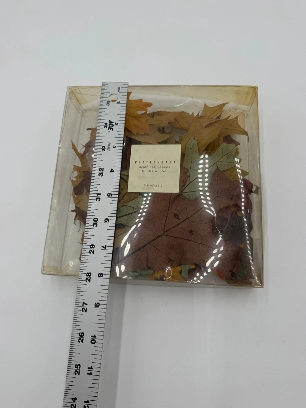 Vintage Pottery Barn Dried Fall Leaves Autumn Decor Sealed USA RARE